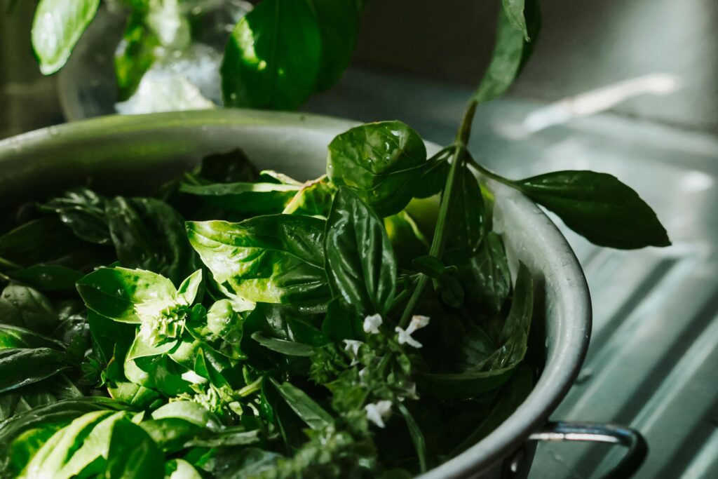 Comment Utiliser le Laurier en Cuisine – Astuces pour intégrer le laurier dans vos plats